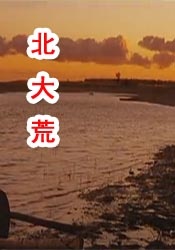 精品伊人